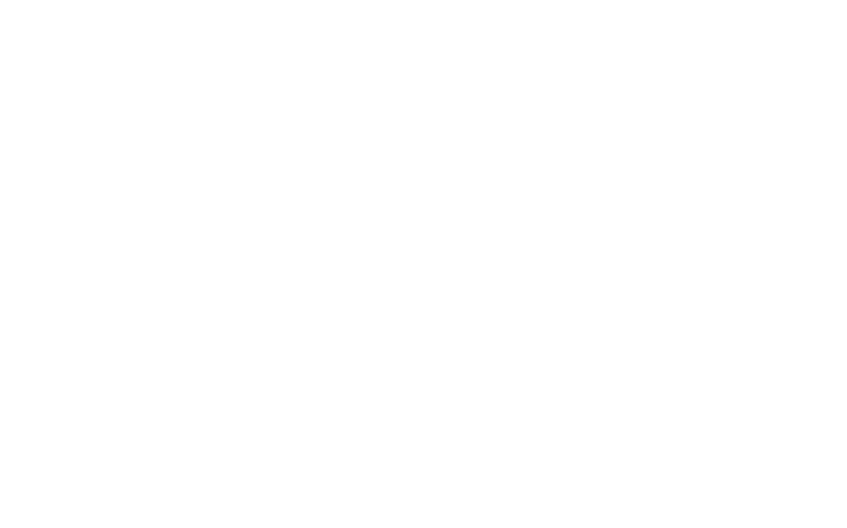 The Stray Tones